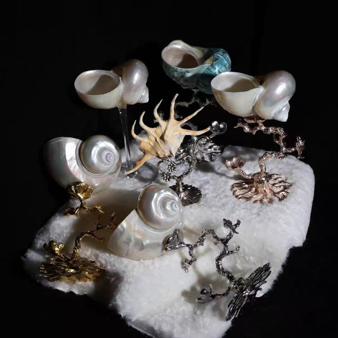 Artistic flat lay of pearlescent shells, turquoise shell, antler, and gold and silver metal coral branch jewelry pieces on white fabric against black background