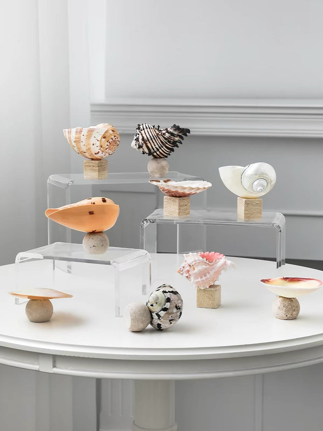 Curated collection of natural shells displayed on tiered acrylic risers and ceramic mushroom stands on a white round table, featuring conch, scallop, spiral and spotted shells in a minimalist interior