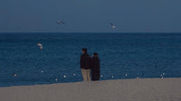 Two people standing on a sandy beach watching the ocean with seagulls flying overhead