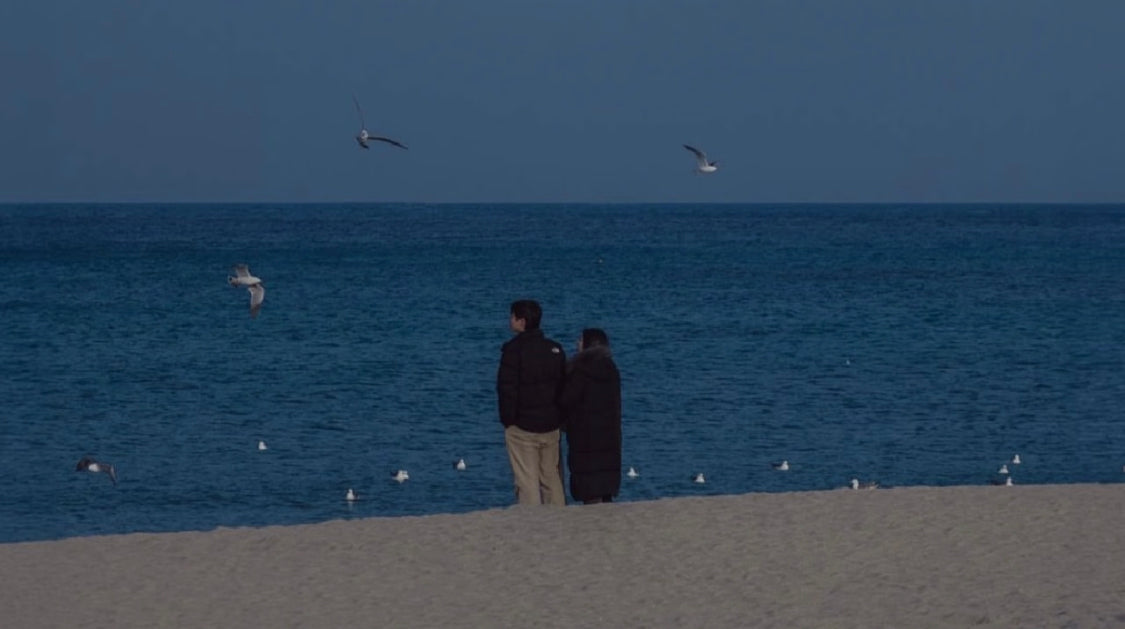Two people standing on a sandy beach watching the ocean with seagulls flying overhead