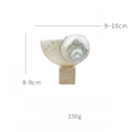 Ocean Relic Shell Sculpture| Natural Shell Jewelry Holder