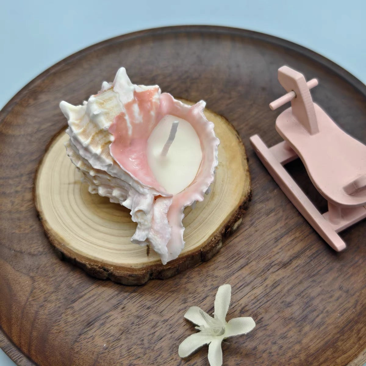 CoralGlow Conch Candle