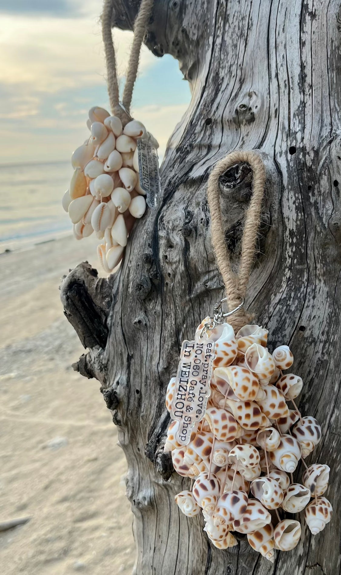 Spotted Babylonia Shell Hand Bell