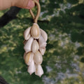 IvoryTide Shell Chime
