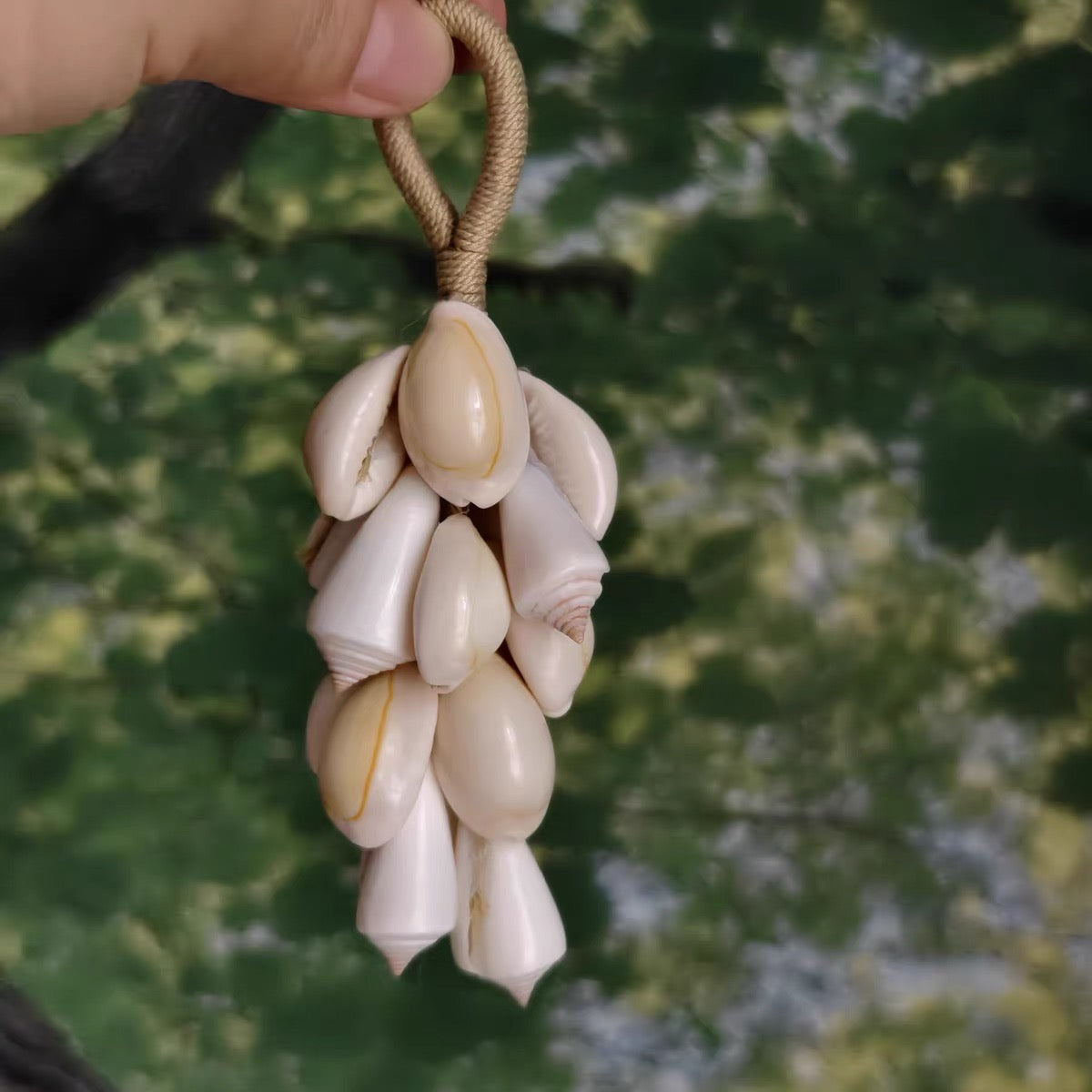 IvoryTide Shell Chime