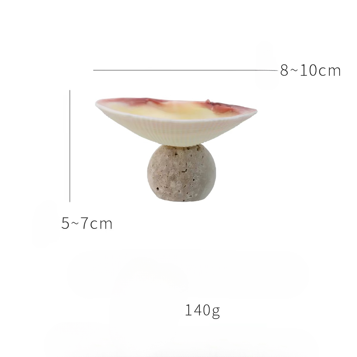 Ocean Relic Shell Sculpture| Natural Shell Jewelry Holder