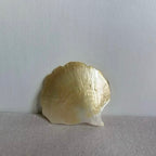 GinkgoNacre Leaf Dish – Handcrafted Yellow Mussel Shell Tray