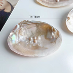 Natural Seashell Trinket Tray with Pearls