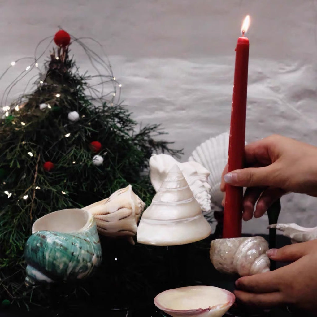 Natural Seashell Goblet ＆ Candle Holder