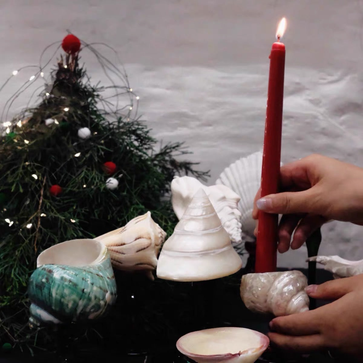 Natural Seashell Goblet ＆ Candle Holder