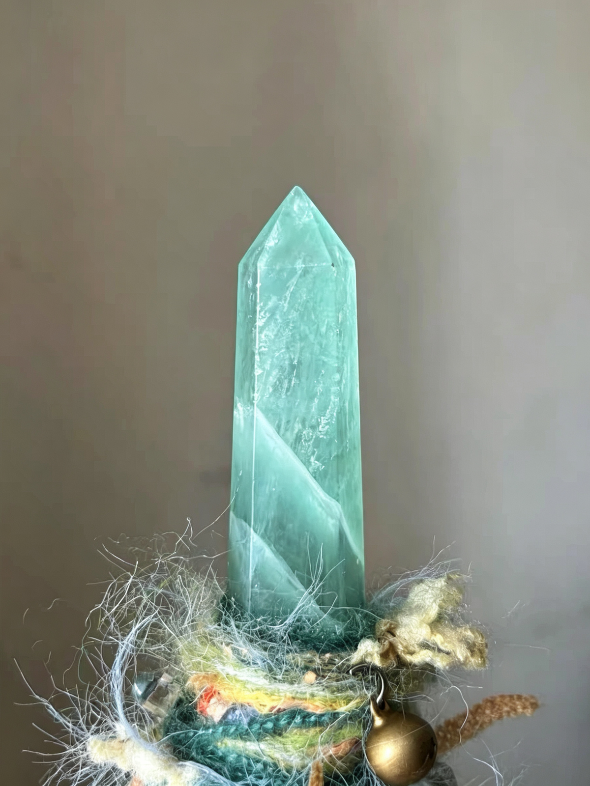 Gazing at the Stars Witch Broom