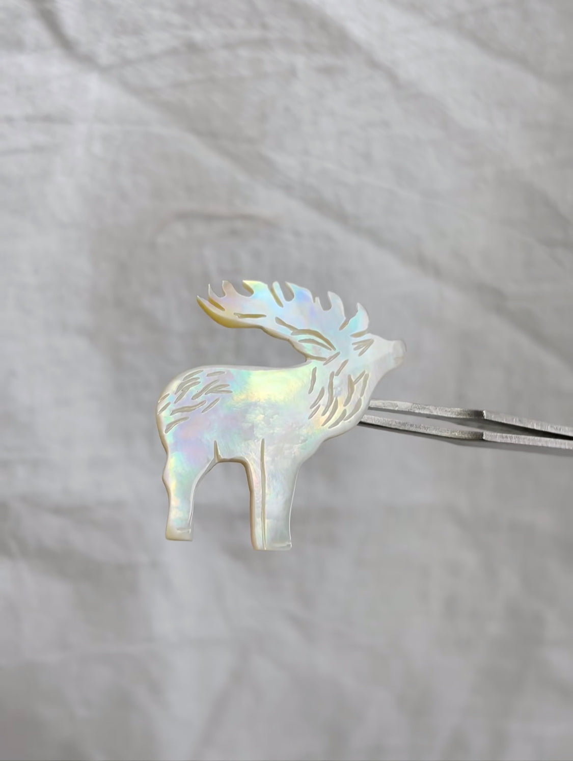 Reindeer Shell Charm – Natural Yellow Butterfly Shell Accent