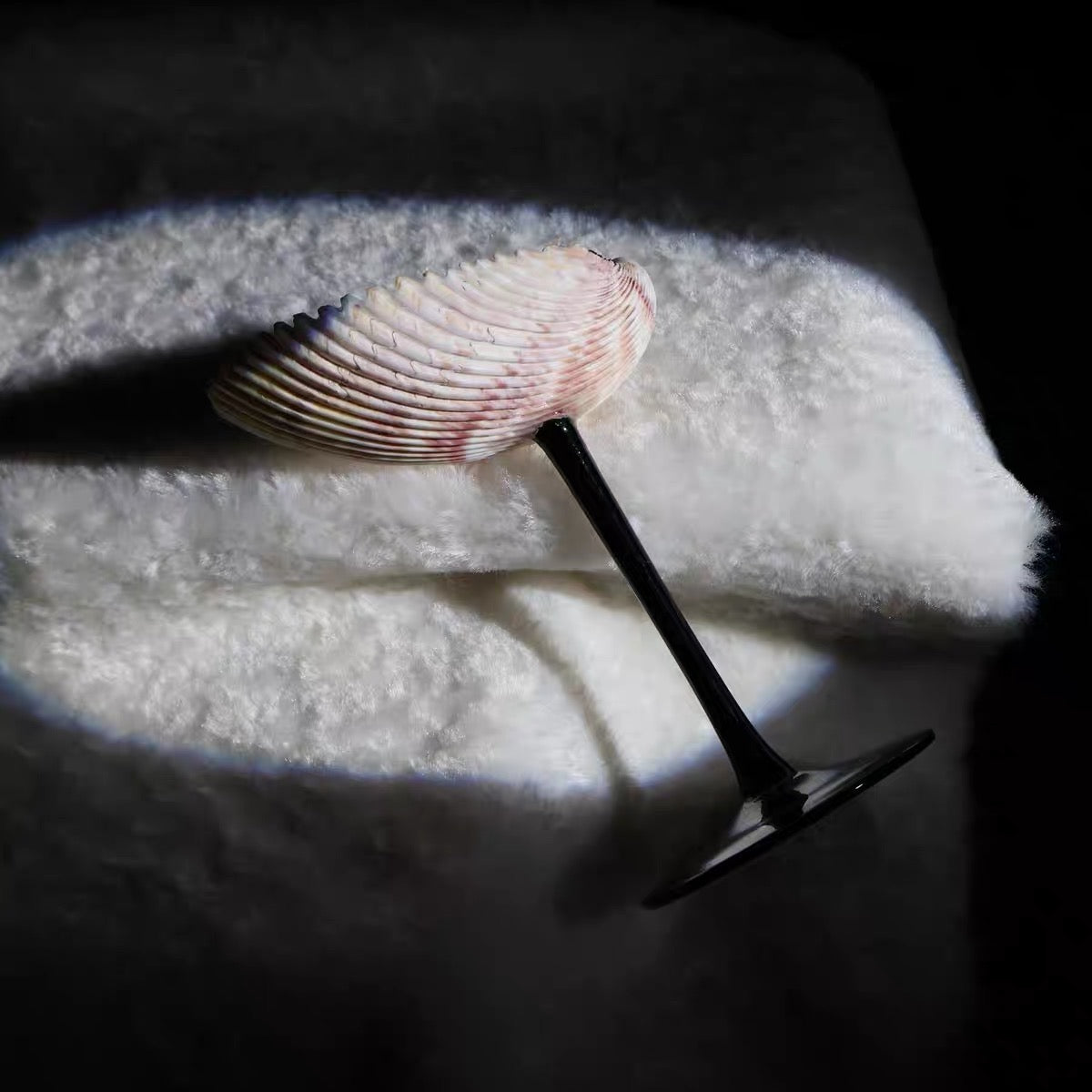 Natural Seashell Wine Cup with Decorative Ribbon