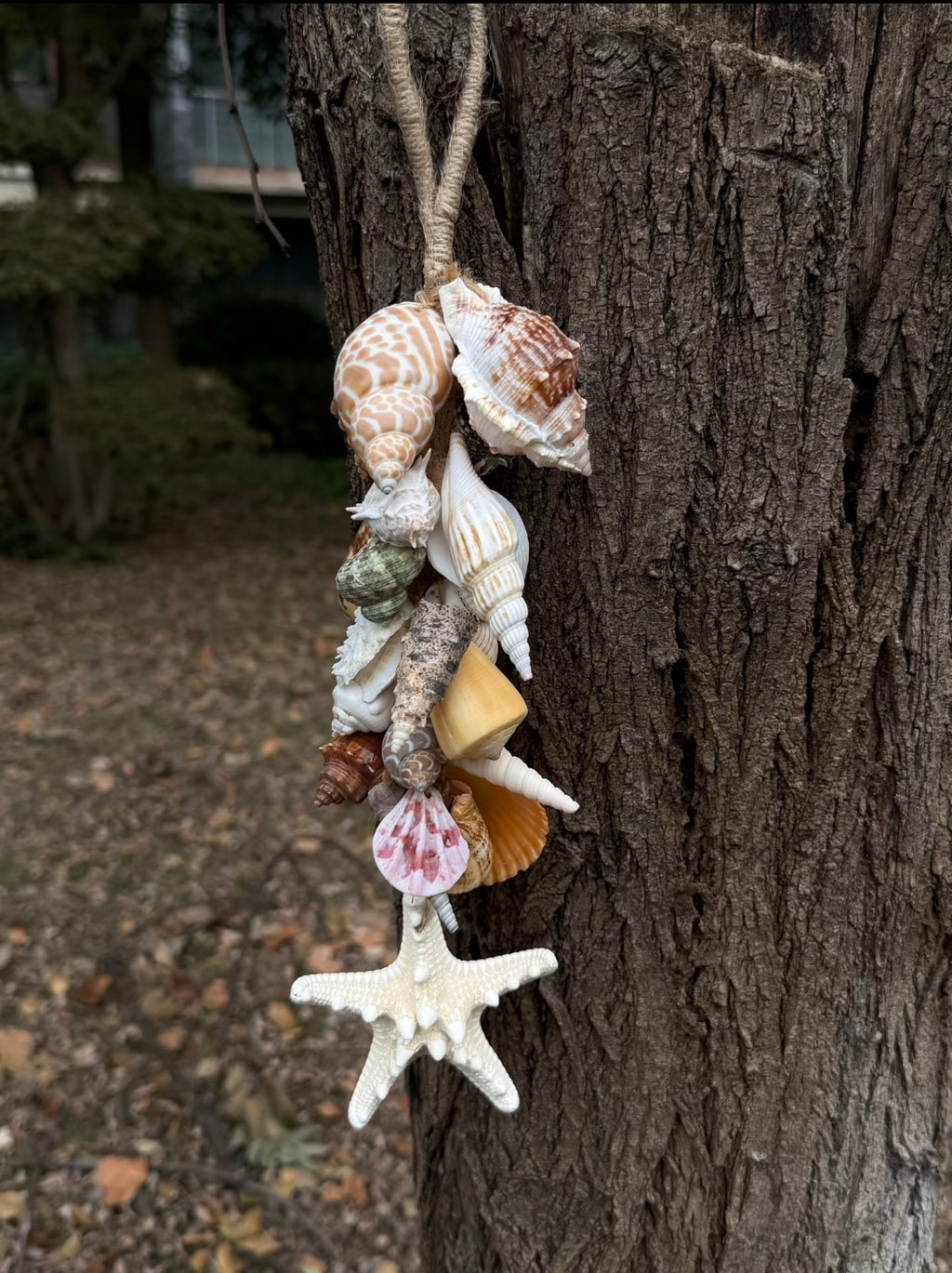 Ocean Bloom Shell Wind Chime