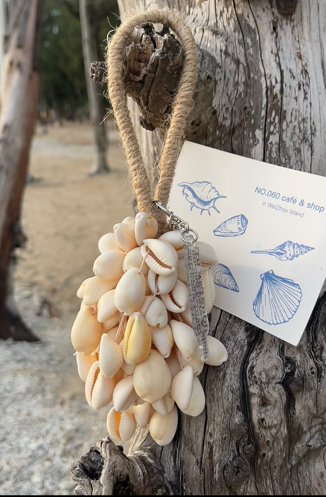 Ivory Cowrie Shell Hand Bell