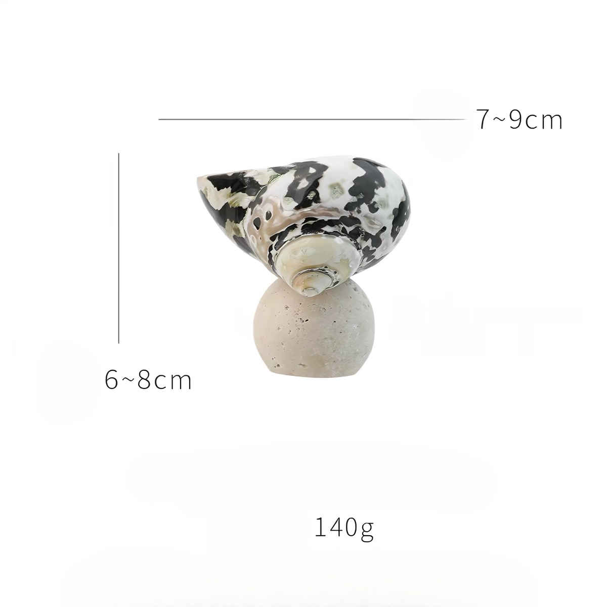 Ocean Relic Shell Sculpture| Natural Shell Jewelry Holder