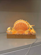 Pink Tide Seashell Night Light | Handmade Coastal Table Lamp