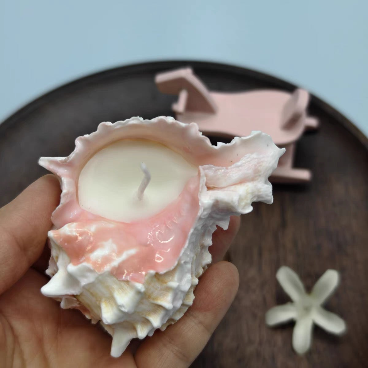 CoralGlow Conch Candle