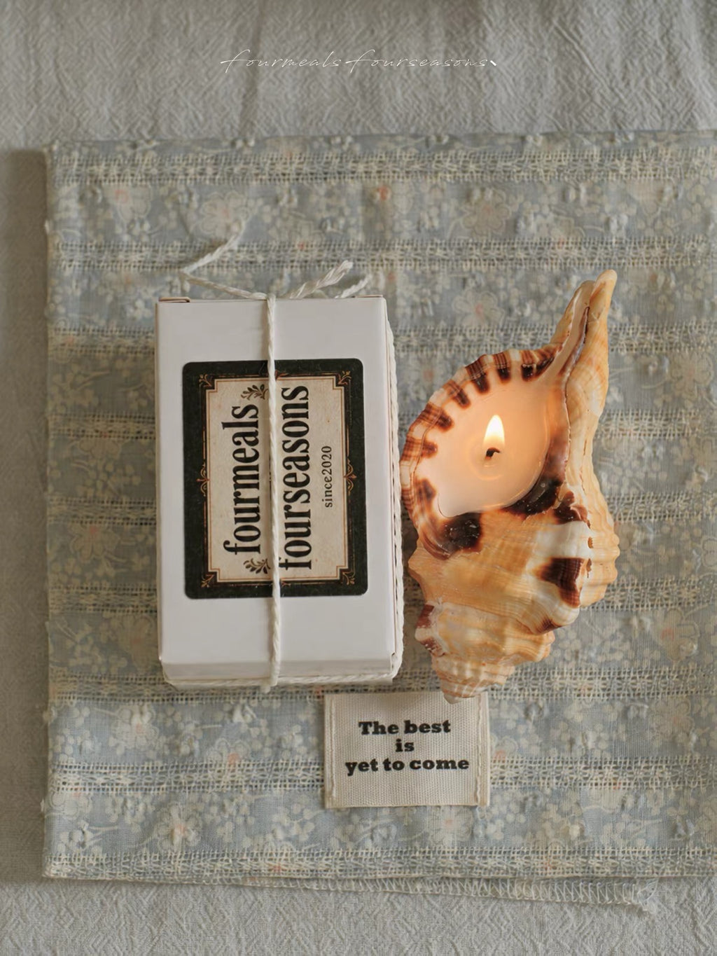 Elephant Trunk Conch Shell Candle – Reusable Gift