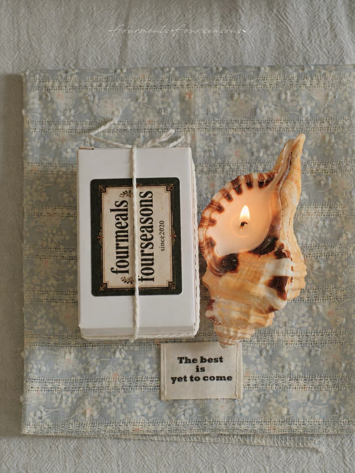 Elephant Trunk Conch Shell Candle – Reusable Gift