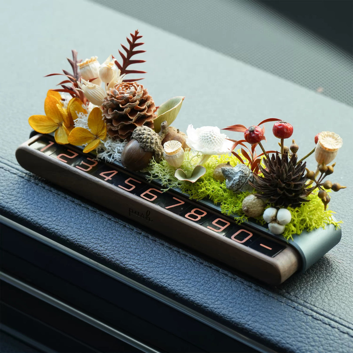 Everlasting Bloom Natural Seed Car Phone Number Plate