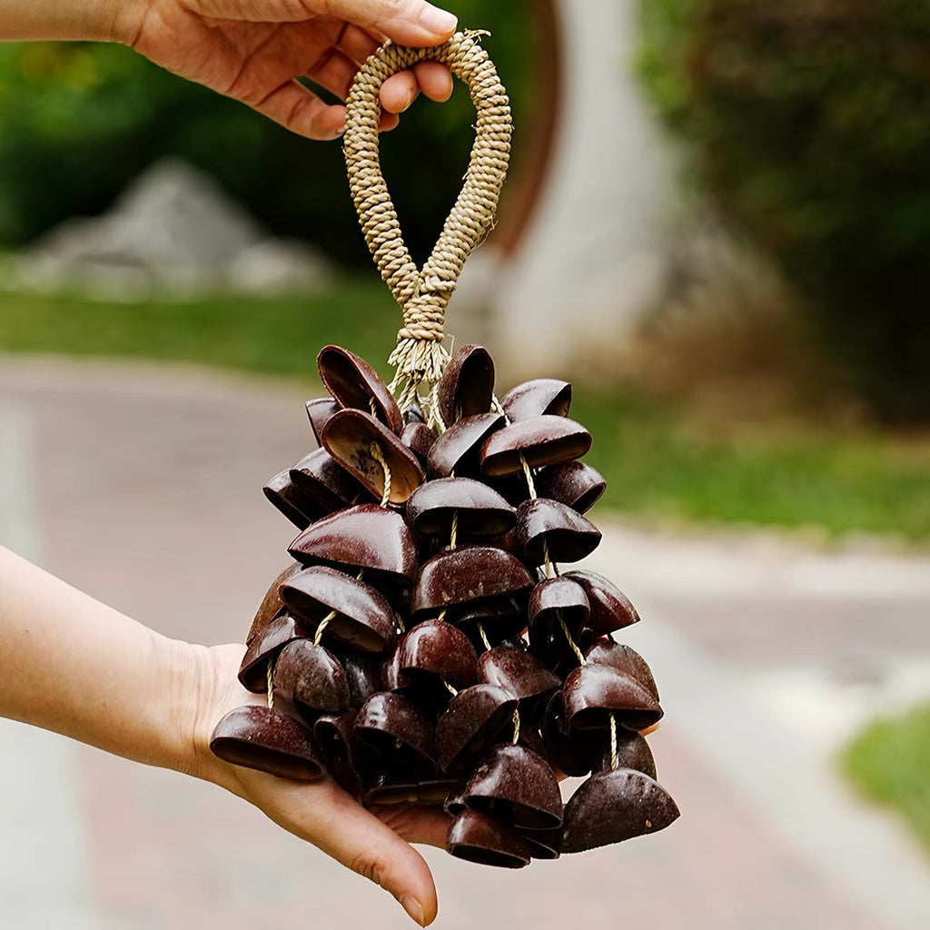 Juju Seed Shell Hand Bell – Deep Resonance