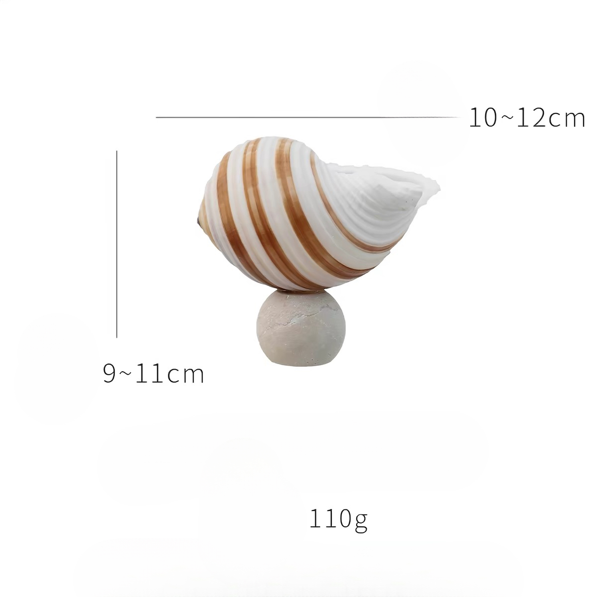 Ocean Relic Shell Sculpture| Natural Shell Jewelry Holder