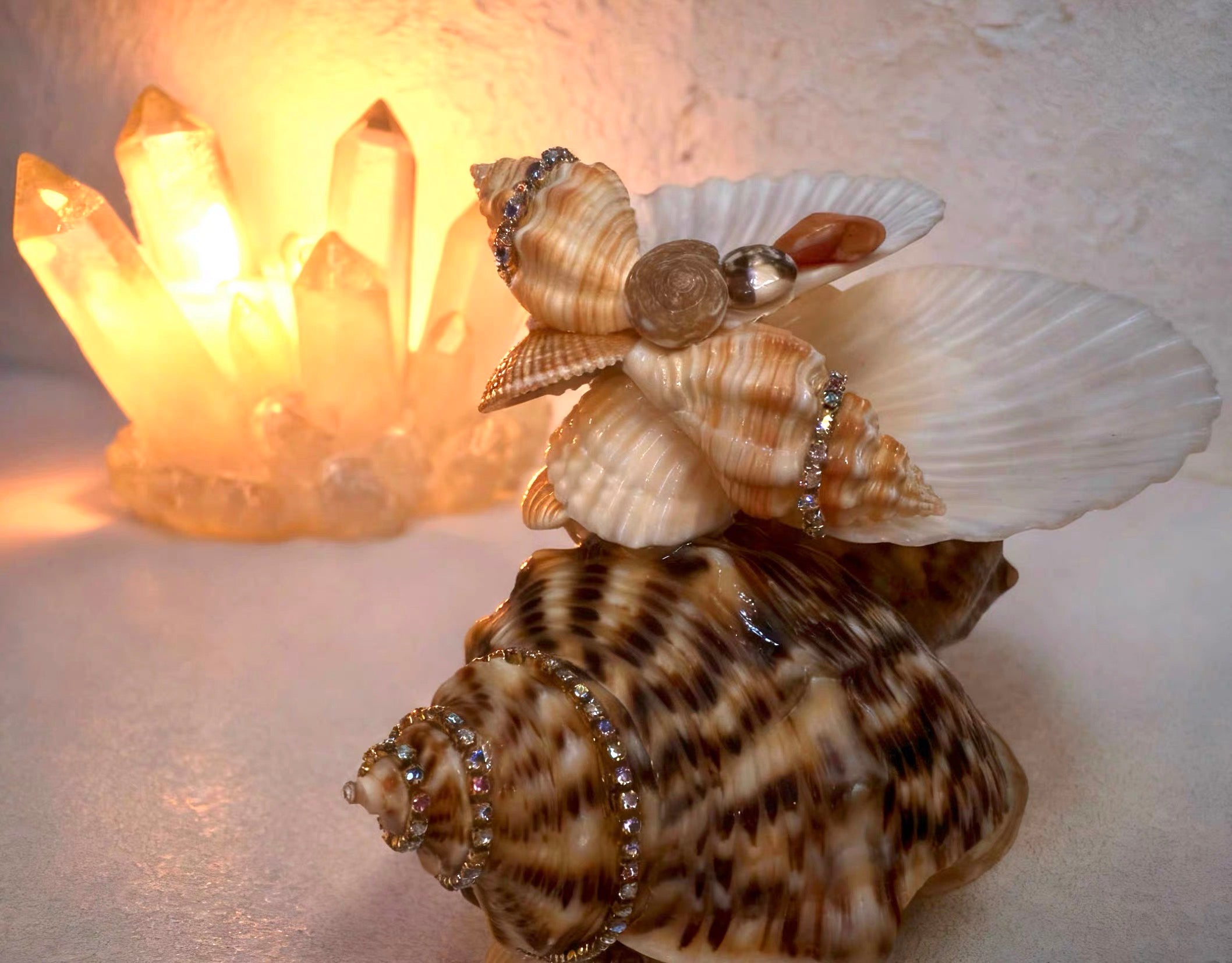 Tide Keepsake Shell Organizer