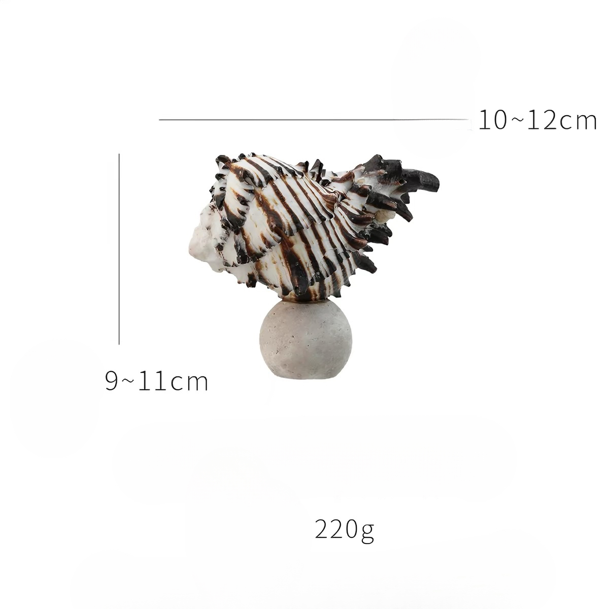 Ocean Relic Shell Sculpture| Natural Shell Jewelry Holder
