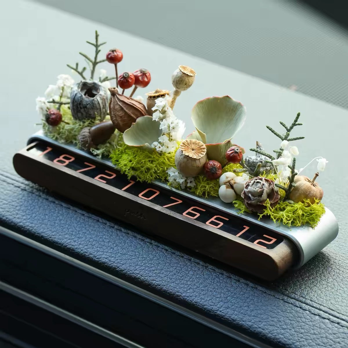 Everlasting Bloom Natural Seed Car Phone Number Plate