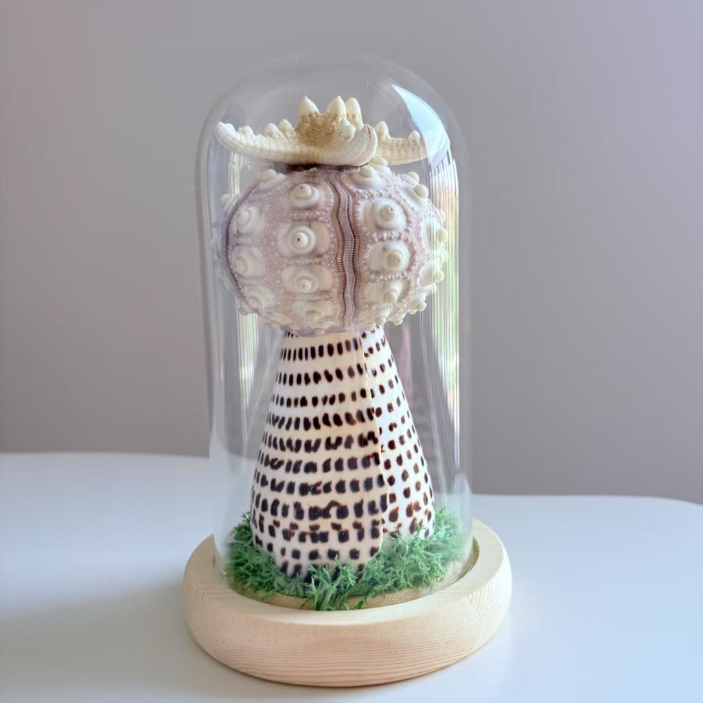 Handcrafted Natural Sea Urchin Shell Night Lights