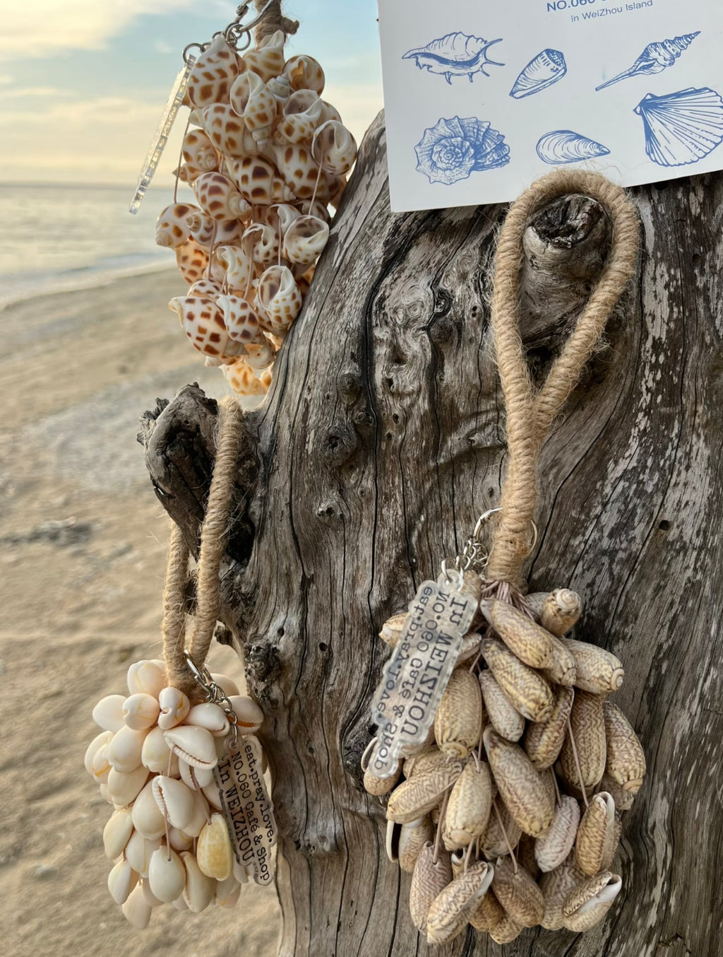 Fairy Conch Shell Hand Bell