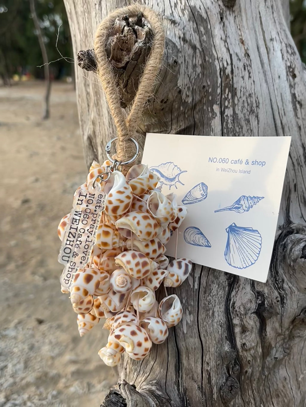 Spotted Babylonia Shell Hand Bell