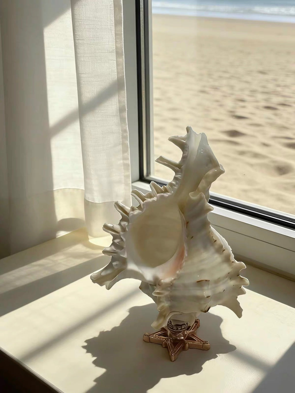Sea Crown Conch Sculpture