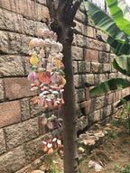 Sunset Reef Double-Tier Shell Wind Chime