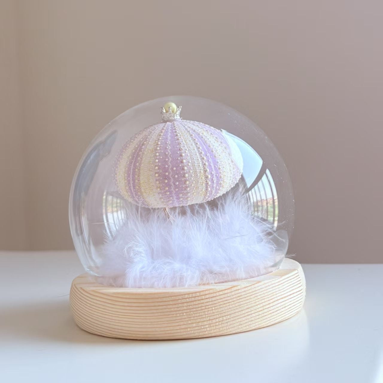 Handcrafted Natural Sea Urchin Shell Night Lights