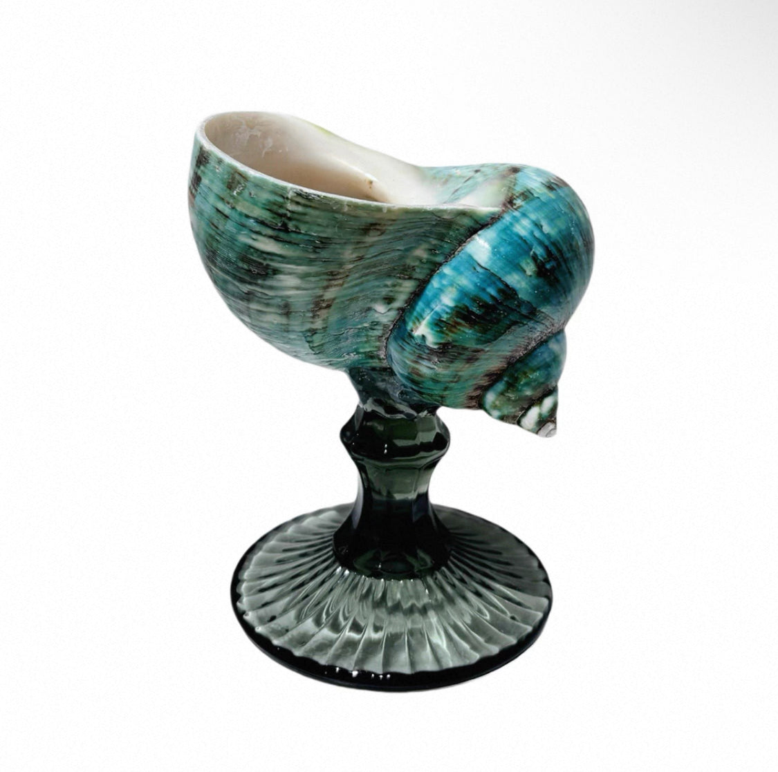 Natural Seashell Goblet ＆ Candle Holder