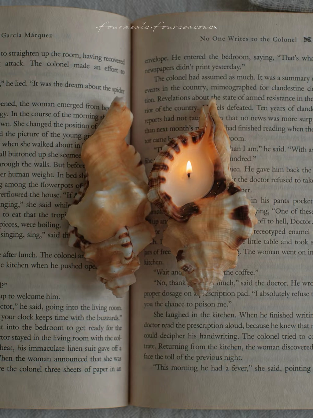 Elephant Trunk Conch Shell Candle – Reusable Gift