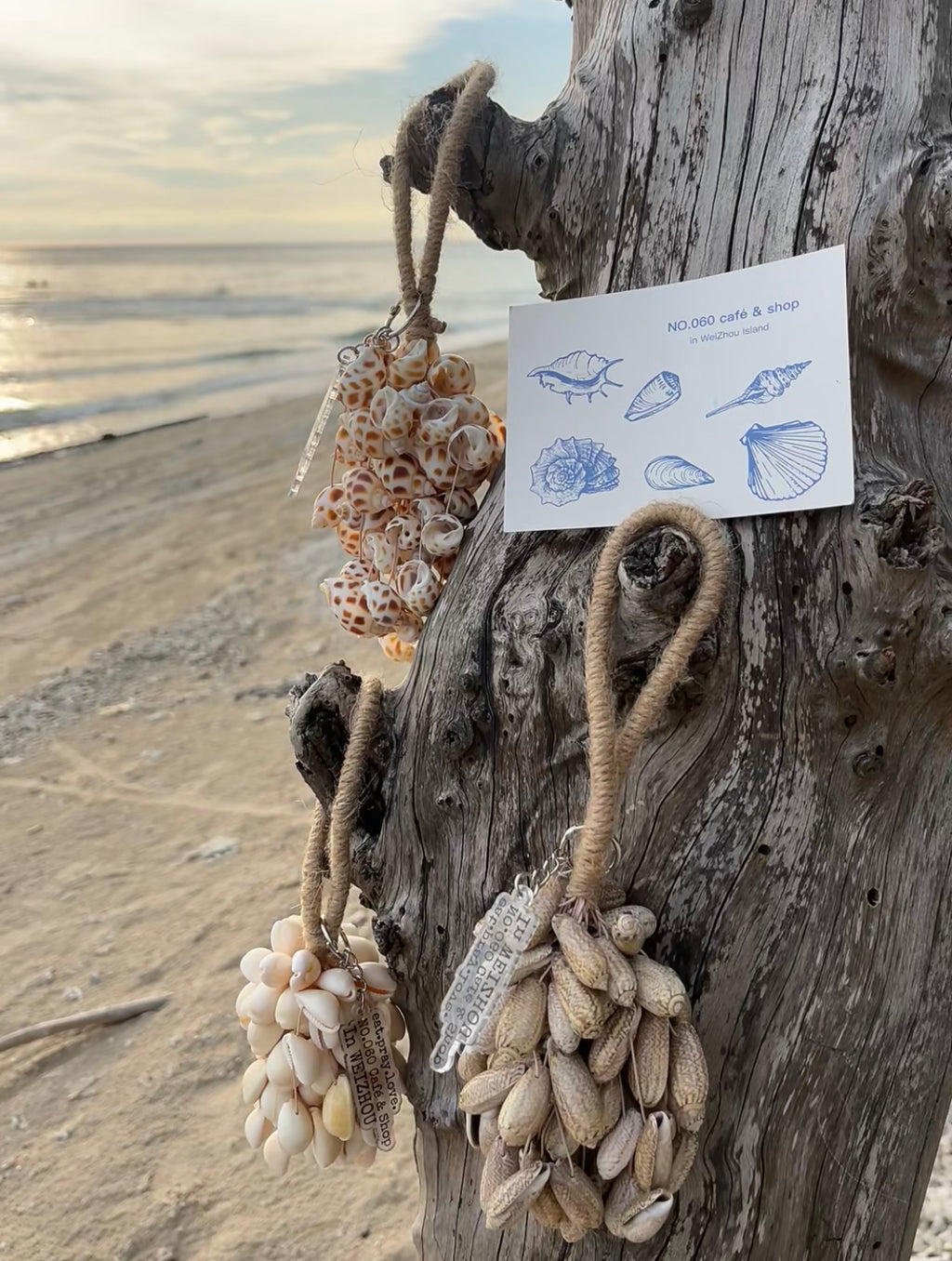 Fairy Conch Shell Hand Bell
