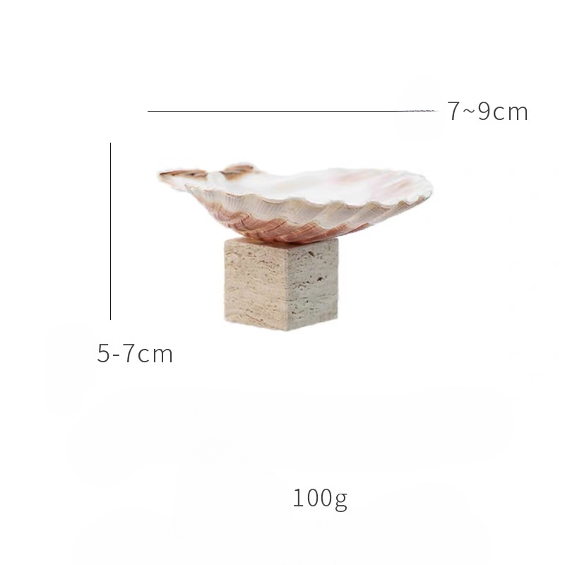 Ocean Relic Shell Sculpture| Natural Shell Jewelry Holder