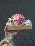 Pink Tide Seashell Night Light | Handmade Coastal Table Lamp