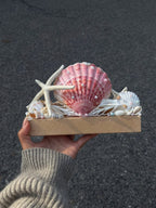 Pink Tide Seashell Night Light | Handmade Coastal Table Lamp