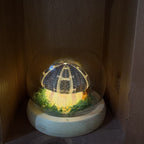 Handcrafted Natural Sea Urchin Shell Night Lights