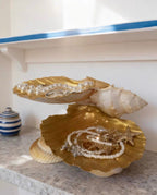 Ocean Haven Shell Organizer