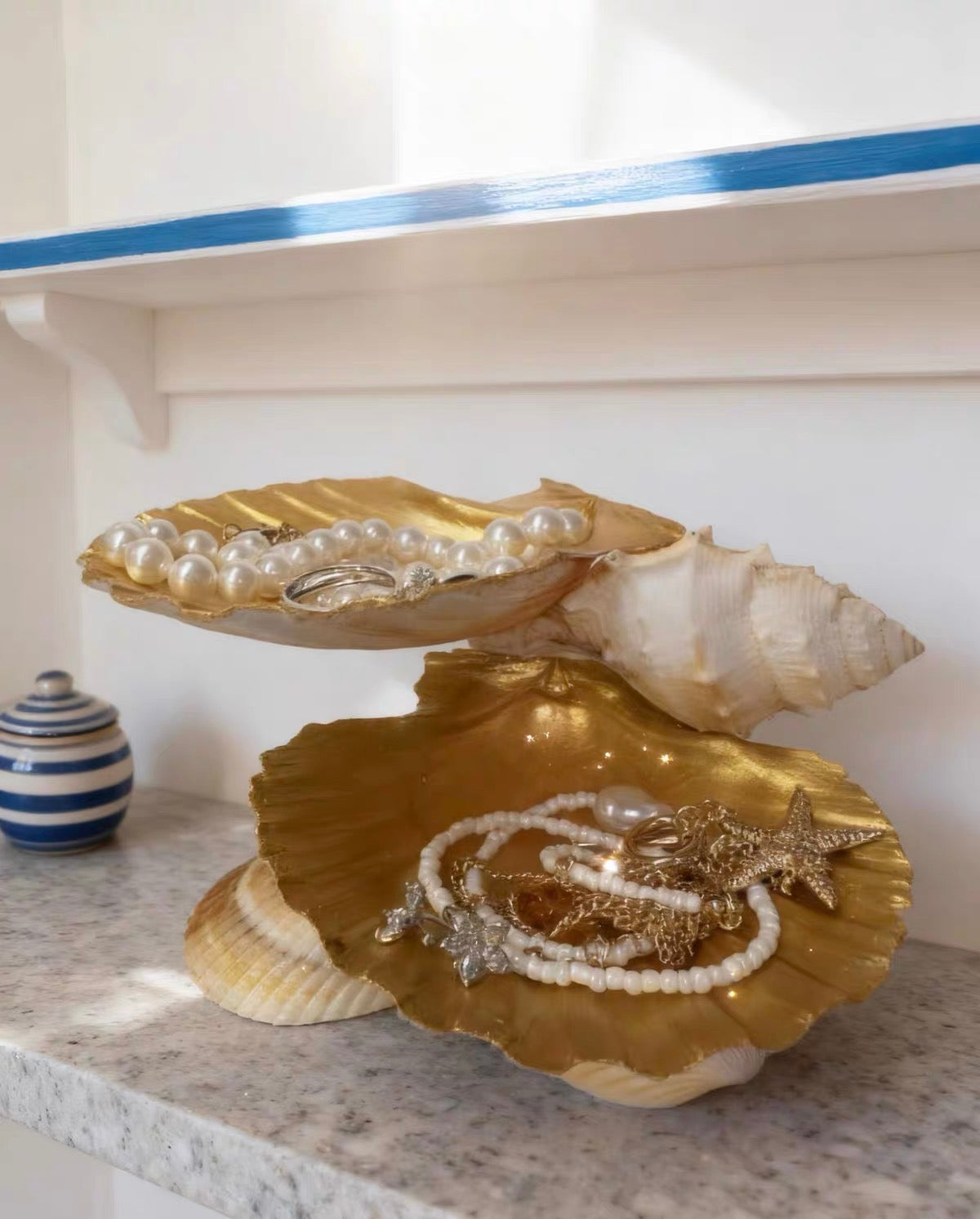 Ocean Haven Shell Organizer