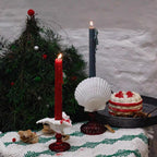 Natural Seashell Goblet ＆ Candle Holder