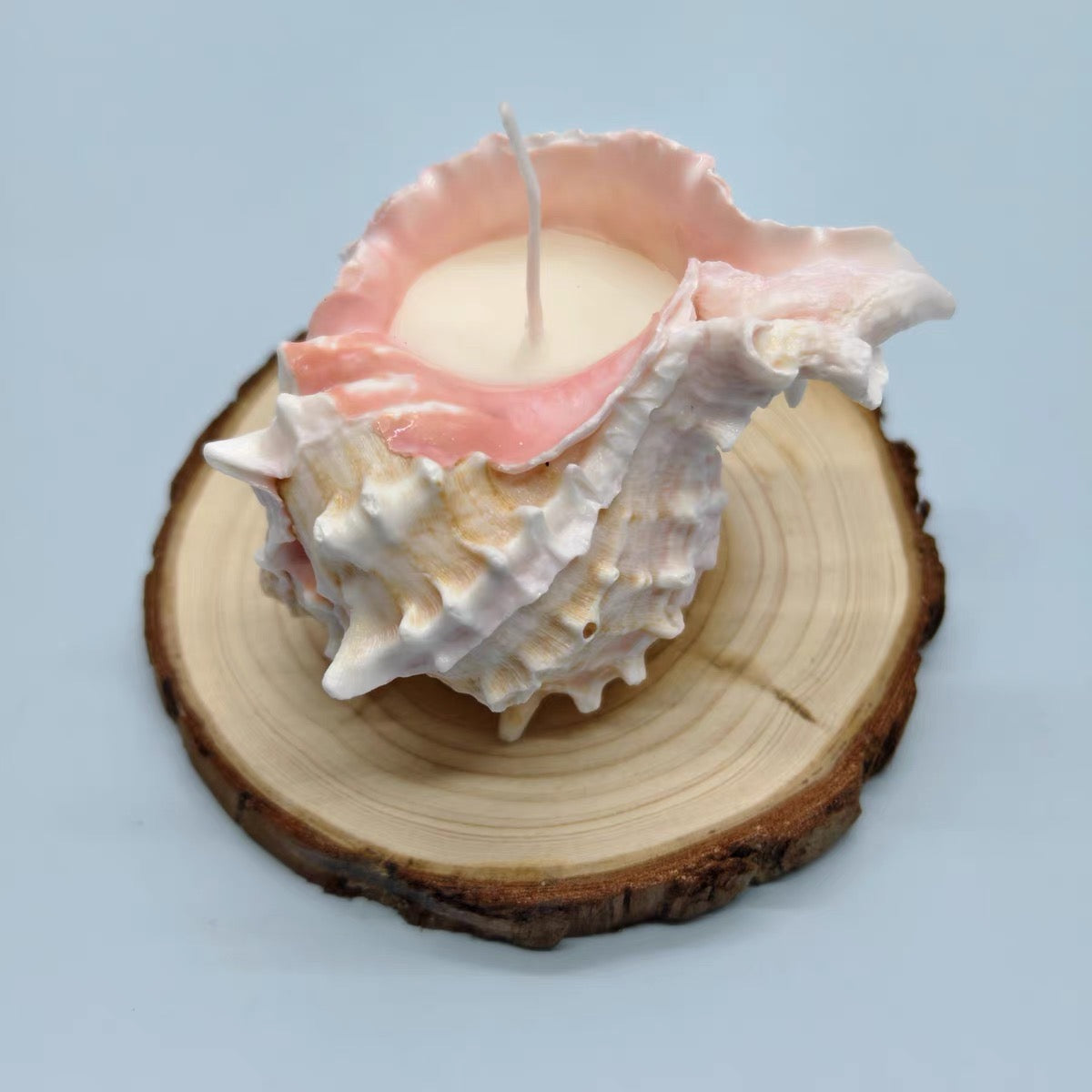CoralGlow Conch Candle