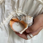 Secret Garden Seashell Soy Candle