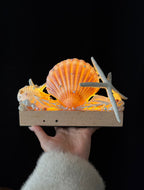 Pink Tide Seashell Night Light | Handmade Coastal Table Lamp