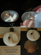 Ocean’s Gift Natural Seashell Soy Wax Candles